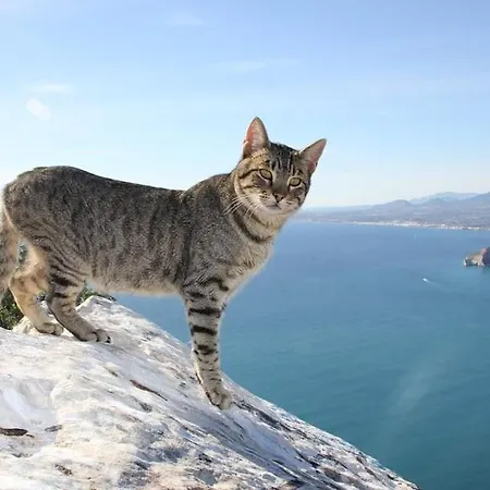 Happy - Plusholidays *